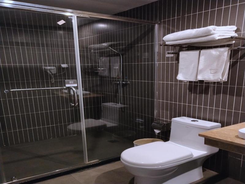 Thank Inn Plus Hotel Jiangxi Fuzhou Jinxi County Government Square Екстер'єр фото